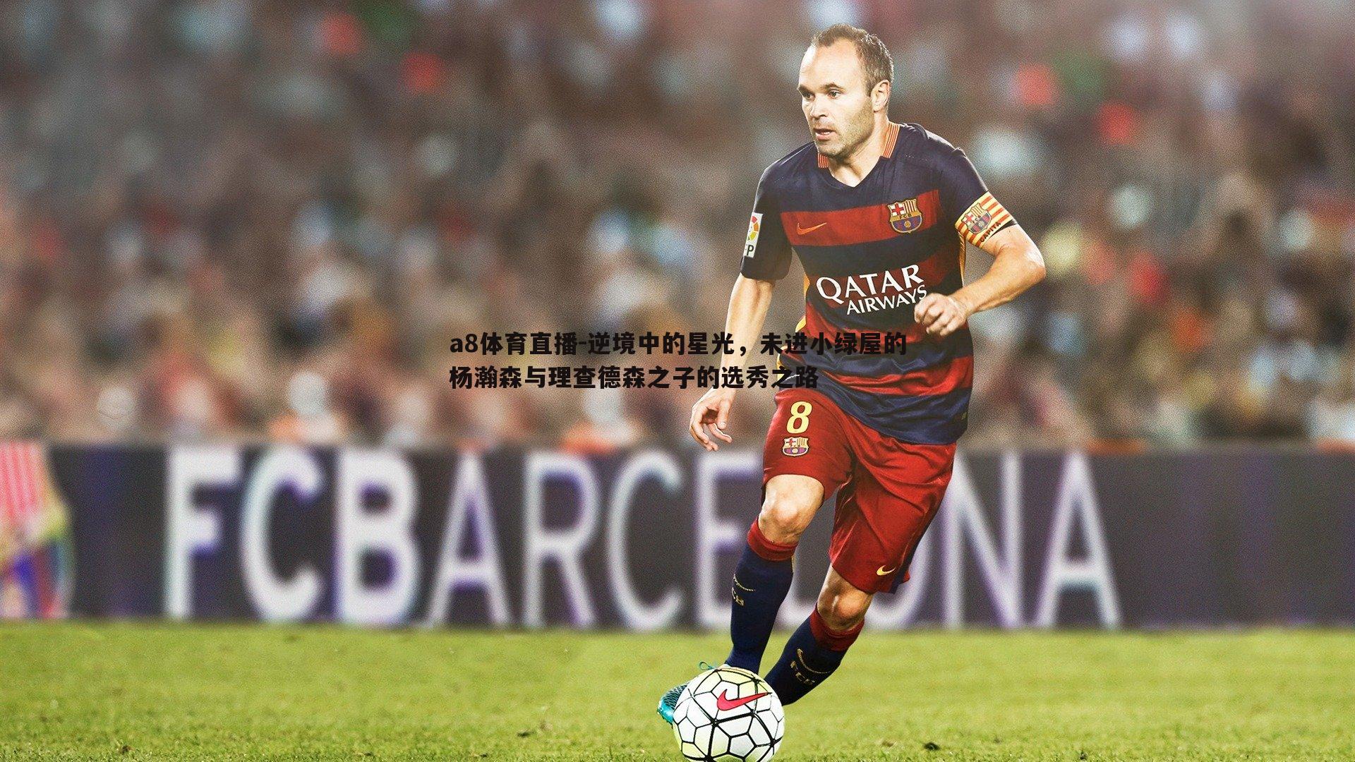 a8体育直播-逆境中的星光，未进小绿屋的杨瀚森与理查德森之子的选秀之路