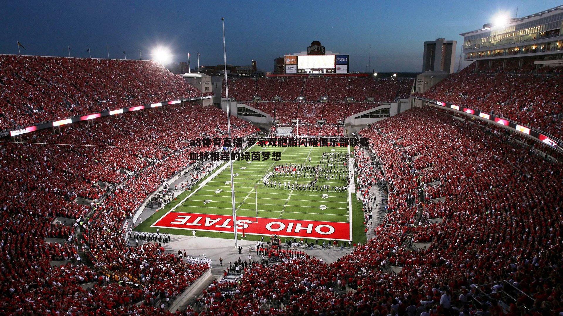 a8体育直播-罗家双胞胎闪耀俱乐部联赛，血脉相连的绿茵梦想