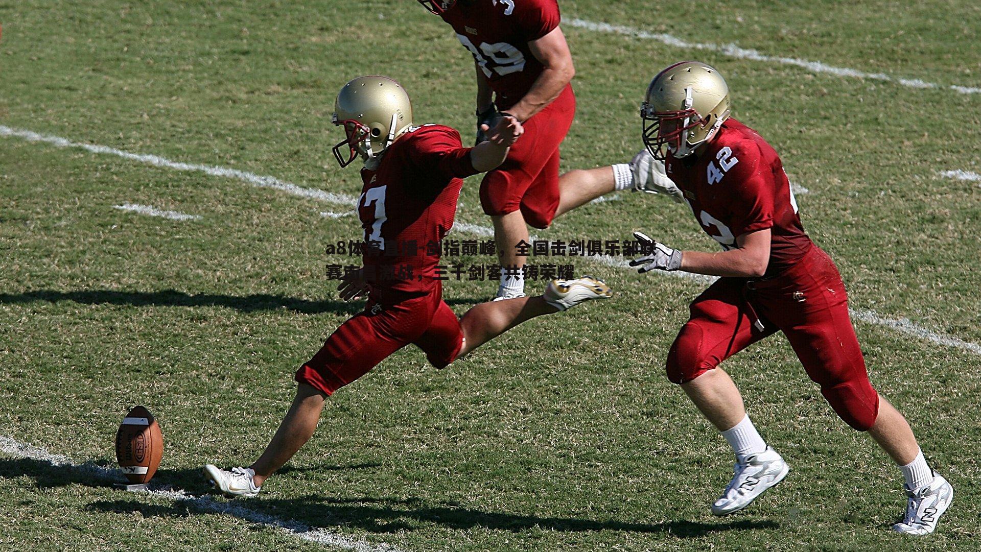 a8体育直播-剑指巅峰，全国击剑俱乐部联赛南昌激战，三千剑客共铸荣耀