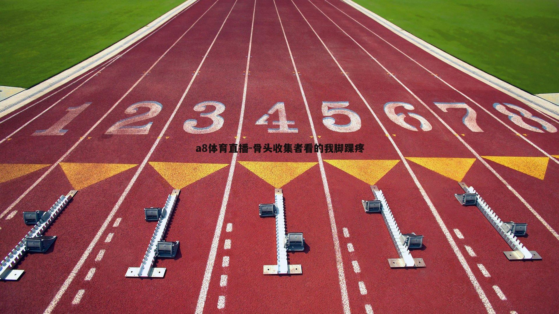 骨头收集者看的我脚踝疼